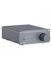 Ampli numérique Professionnel Hi-FI 2 canaux stéréo avec amplificateur Audio de Classe D pour Haut-parleurs domestiques 50W x 2 - V1.0G