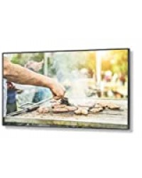 NEC 60004238-55" C551 Écran grand format 24 h/24 et 7 j/7 Noir Grand Format 55" Full HD 400 cd/m2 Fonctionnement 24/7 3x HDMI et 1x VGA (reconditionné)