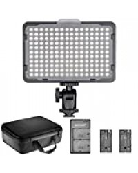 Neewer Kit de 176 Lampe Vidéo LED Dimmable: 176 Panneau LED 3200-5600K, 2 pcs Batterie Li-ION Rechargeable, Chargeur USB et Etui de Transport pour Canon, Nikon, Pentax, Sony DSLR