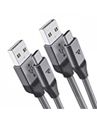 RAMPOW Câble USB Type C 2m [Lot de 2], Câble USB C Charge Rapide Nylon Tressé en Fibre pour Samsung S10/S9/S8/Note 9, Sony Xperia, Honor, LG - Gris Argenté